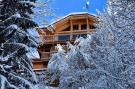 Holiday homeFrance - : Chalet W