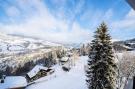 FerienhausFrankreich - : Résidence Neige D'arbois