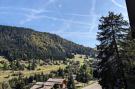 Holiday homeFrance - : Location de Vacances La Clusaz 443