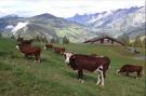 FerienhausFrankreich - : Location de Vacances La Clusaz 287