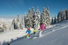 FerienhausFrankreich - : Location de Vacances La Clusaz 331