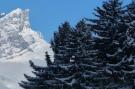 FerienhausFrankreich - : Studio Cosy Avec Vue Sur Mont Blanc