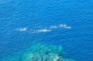 FerienhausFrankreich - : 06a1 - Comme Sur Un Bateau, La Mer à Perte De Vue