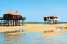 Holiday homeFrance - : Location de Vacances Arcachon 446  [34] 