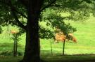 Holiday homeFrance - : Les Vieux Chênes