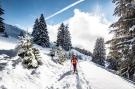 Holiday homeFrance - : Portes Du Soleil PSB196 TELECABINE &amp; MOUNTAIN 