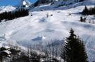 Holiday homeFrance - : Location de Vacances Le Grand-Bornand 226