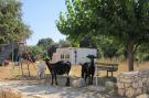 FerienhausGriechenland - Kreta: Villa Cocoon