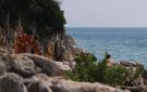 Holiday homeCroatia - Eastern Croatia: Hrboki