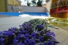 Holiday homeCroatia - Eastern Croatia: Villa Chiara