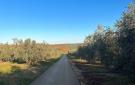 Holiday homeCroatia - Eastern Croatia: Cervar