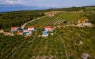 Holiday homeCroatia - Eastern Croatia: Sutivan