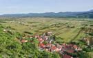 Holiday homeCroatia - Eastern Croatia: Donji Prolozac