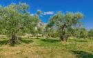 Holiday homeCroatia - Eastern Croatia: Fazana