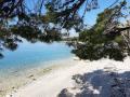 Holiday homeCroatia - Eastern Croatia: 46957