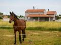 Holiday homeCroatia - Eastern Croatia: 396978