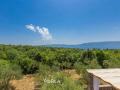 Holiday homeCroatia - Eastern Croatia: 323717