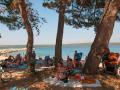 Holiday homeCroatia - Eastern Croatia: 381545