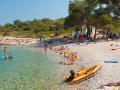 Holiday homeCroatia - Eastern Croatia: 381545