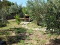 Holiday homeCroatia - Eastern Croatia: 263052