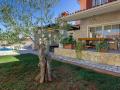 Holiday homeCroatia - Eastern Croatia: 214647