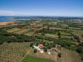 Holiday homeCroatia - Eastern Croatia: 115506