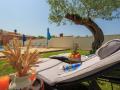 Holiday homeCroatia - Eastern Croatia: 115501