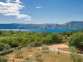 Holiday homeCroatia - Eastern Croatia: 463833