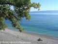 Holiday homeCroatia - Eastern Croatia: 200423