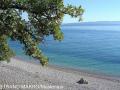 Holiday homeCroatia - Eastern Croatia: 233499