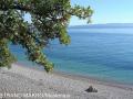 Holiday homeCroatia - Eastern Croatia: 208252