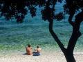 Holiday homeCroatia - Eastern Croatia: 314429