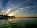 Holiday homeCroatia - Eastern Croatia: 162972