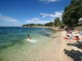 Holiday homeCroatia - Eastern Croatia: 119280