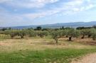 Holiday homeCroatia - Eastern Croatia: Holiday Home Oliva - Holiday House with Terrace an