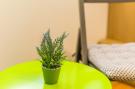 Holiday homeCroatia - Eastern Croatia: The Point Room - Double Room with City View