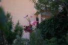 Holiday homeCroatia - Eastern Croatia: Villa Dubravka - Premium Studio Apartment with Bal