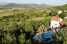 FerienhausKroatien - : Holiday home Jadrić - Holiday home with  Pool  [20] 