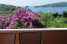 Holiday homeCroatia - Eastern Croatia: Apartment Luna - One Bedroom Apartment with Terrac  [17] 