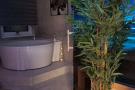 Holiday homeCroatia - Eastern Croatia: Wellness Apartments - Studio Apartment with Terrac