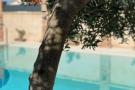 Holiday homeCroatia - Eastern Croatia: Villa Stalla - Three Bedroom Villa with Swimming P