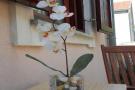 Holiday homeCroatia - Eastern Croatia: Apartments Smilje i Maslina - One Bedroom Apartmen