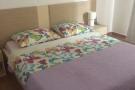 Holiday homeCroatia - Eastern Croatia: Apartments Paula - One Bedroom Apartment with Terr