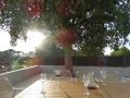 Holiday homeCroatia - Eastern Croatia: 498143