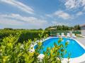 Holiday homeCroatia - Eastern Croatia: 423244