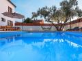 Holiday homeCroatia - Eastern Croatia: 429702