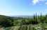 Holiday homeItaly - : Ulivo  [28] 