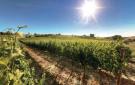 Holiday homeItaly - : Andrea-Podere Moricci