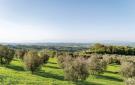 Holiday homeItaly - : Virginia - Podere Moricci