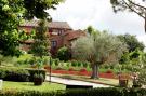 Holiday homeItaly - : Rosa standard